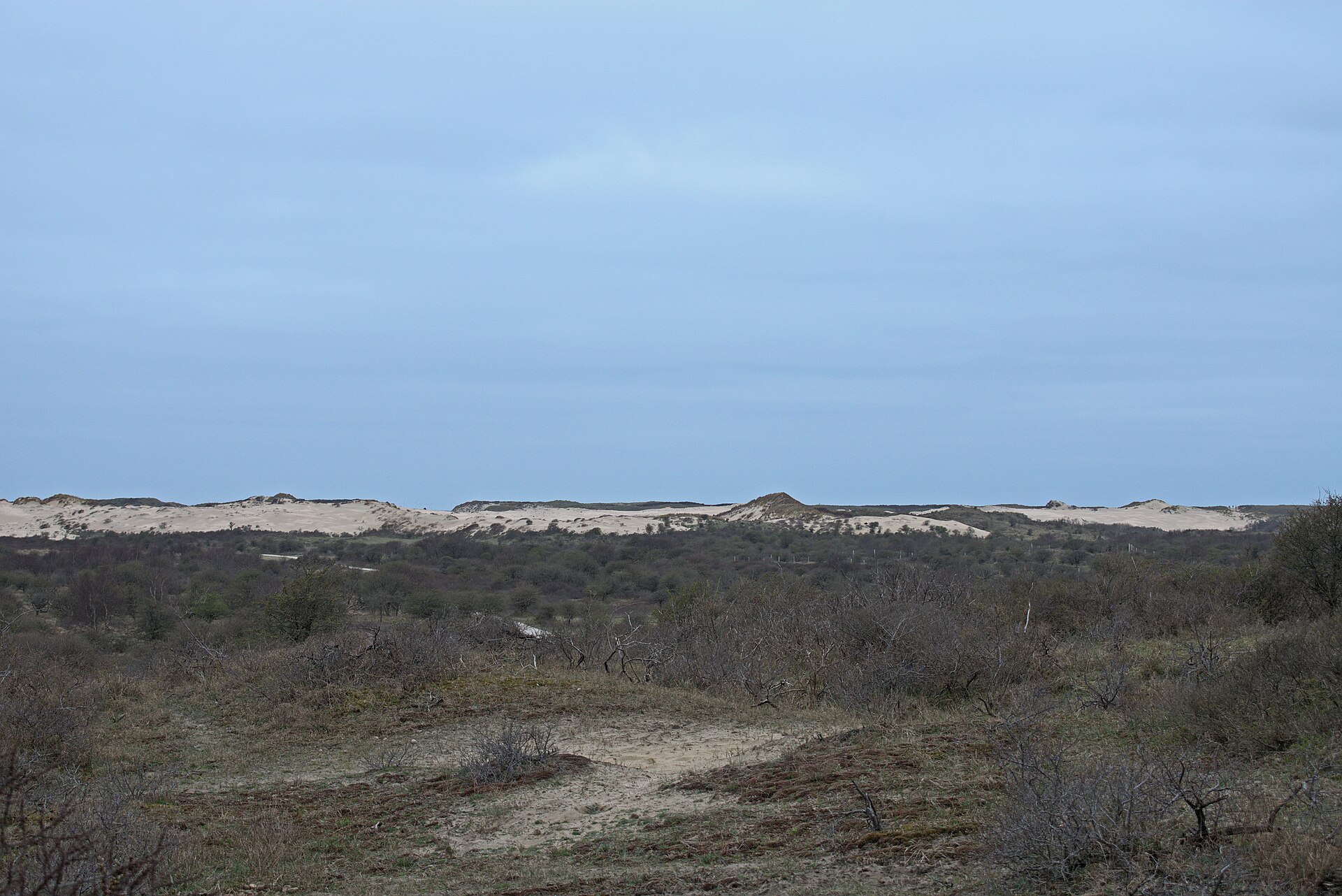 Herkenbaar beeld van Kennemerland
